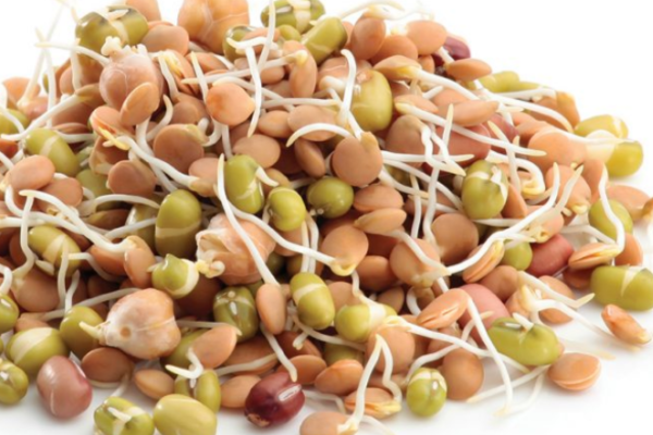 স্বাস্থ্য এবং রোগ প্রতিরোধ ক্ষমতা/Health With Immunity