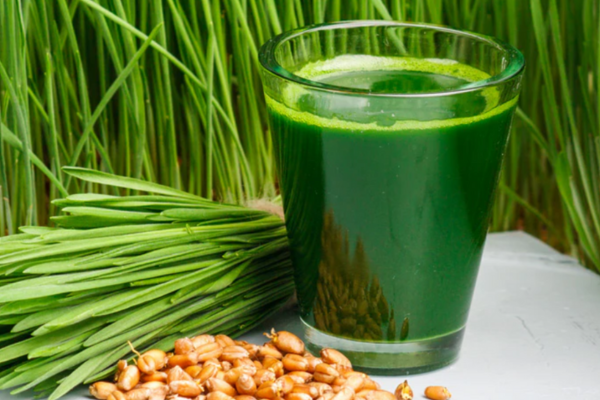 স্বাস্থ্য এবং রোগ প্রতিরোধ ক্ষমতা/Health With Immunity